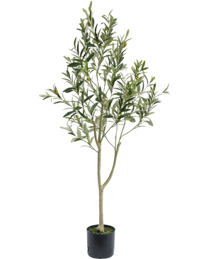 Det konstgjorda olivträdet 120 cm har smala grenar och gröna blad i en enkel svart kruka, perfekt som ett dekorativt element för en medelhavsatmosfär på en vit bakgrund.
