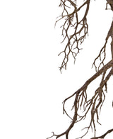 De Kunst decoratie tak 118 cm strekt dunne, bladerloze takken uit van rechtsboven tegen een witte achtergrond en vormt een ingewikkeld natuurlijk patroon met negatieve ruimte aan de linkerkant.