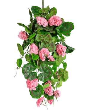 Den Konstgjorda hängväxten Geranium 75 cm rosa har konstgjorda gröna blad och rosa pelargonblommor som faller ner, perfekt som hängdekor mot vit bakgrund.