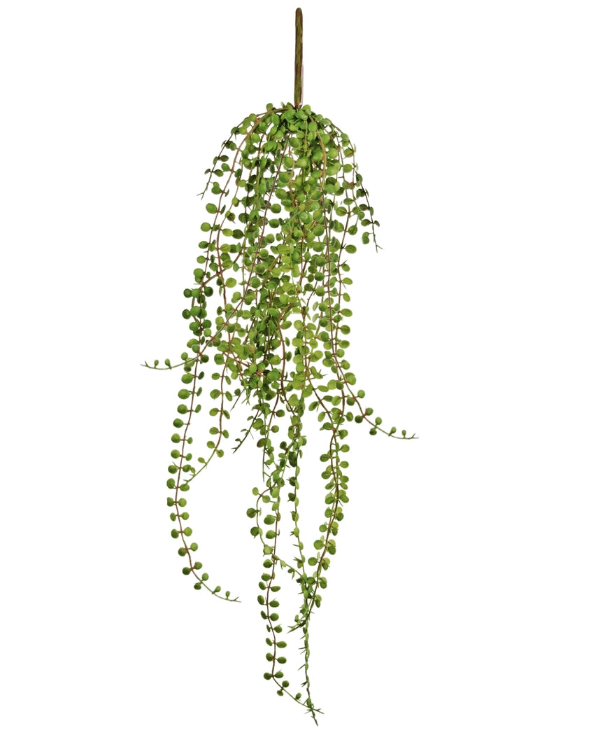 Den konstgjorda hängande växten Suckulentväxt 71 cm har långa, hängande gröna stjälkar med små, runda blad, perfekt att visa mot en vit bakgrund.