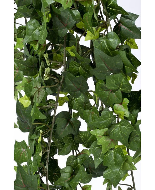 Närbild av täta, gröna blad med synliga ådror och stjälkar på konstgjord murgröna hängande växt 125 cm brandskyddsmedel, mot en vanlig vit bakgrund.
