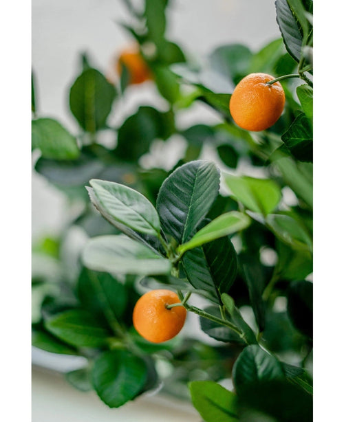 Närbild av det konstgjorda apelsinträdet 120 cm, med livfulla gröna blad och små orange frukter. Den mjukt bleka bakgrunden accentuerar de verklighetstrogna färgerna hos denna dekorativa konstgjorda växt.