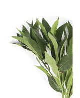 Det konstgjorda lagerblad 50 cm grönt har fräscha gröna blad på grenar mot en vit bakgrund, vilket gör den perfekt för att tillföra konstgjorda blommors elegans till alla dekorationer.
