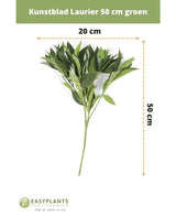 Konstgjord lagerblad 50 cm grön konstgjord blomdekor, 50 cm hög och 20 cm bred, visad på vit bakgrund med mått. Perfekt för alla interiörer. Easyplants logotyp längst ner.
