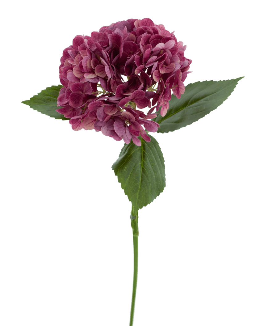 Den konstgjorda blomman Charlotte Hydrangea Real Touch lila 55 cm har en enda stjälk av en lila hortensia med flera små kronblad och gröna blad, mot en vanlig vit bakgrund.