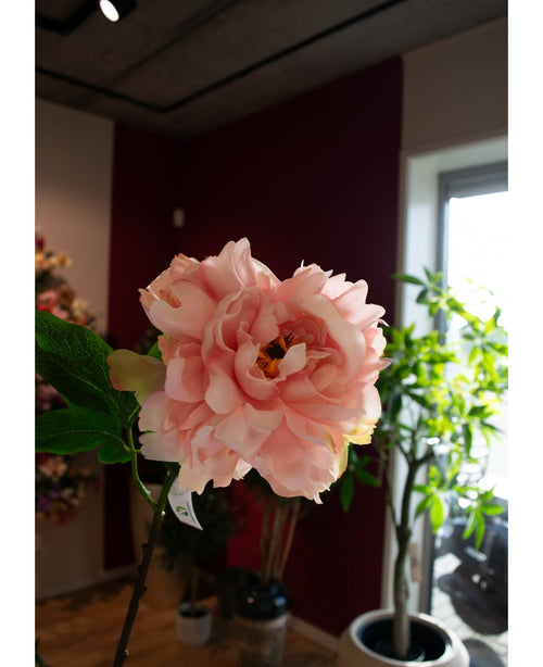 En närbild av den konstgjorda blompionen 61 cm mjuk rosa, utställd inomhus med gröna löv och krukväxter i bakgrunden, badad i naturligt fönsterljus.