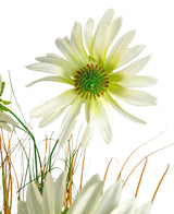 En närbild av konstgräskrysantemumlökkrukan 90 cm brandskyddande, med en vit prästkrageliknande blomma med ett grönt hjärta bland tunna gröna och bruna gräsliknande stjälkar, allt mot en vit bakgrund.