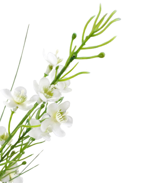 En närbild på artificiellt gräs Hirs-Lök Gräs Bonsai 120cm brandskyddsmedel visar små vita fembladiga blommor med ett grönt hjärta och knoppar på en grön stjälk med tunna, långsträckta blad, mot en vit bakgrund.