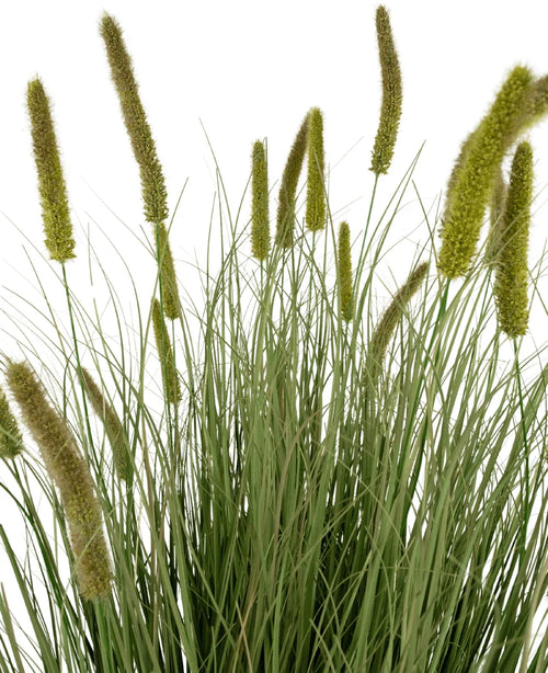 Artificiellt gräs Cattail Onion Grass Pot 150 cm Brandskyddsmedel har högt grönt konstgräs med långa, smala löv och fluffiga, cylindriska fröhuvuden, avbildade mot en vit bakgrund.