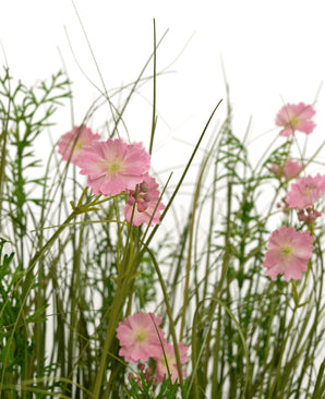 Konstgräs Rosa Gesang Flower Onion Grass Pot 90cm Fire Retardant har rosa blommor med ett ljusgrönt hjärta som blommar bland högt, tunt gräs och frodiga lövväxter, allt mot en vit bakgrund.