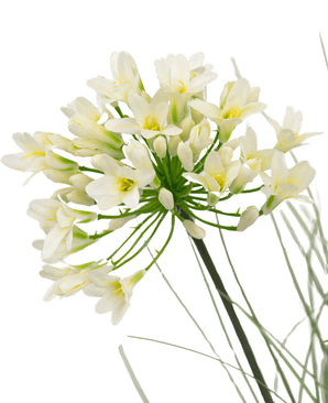 En närbild av konstgräs Vit Agapanthus lökgräskruka 90cm Brandskyddsmedlet visar känsliga vita blommor med en gul mitt på långa gröna stjälkar, omgivna av striga löv, mot en vanlig vit bakgrund.