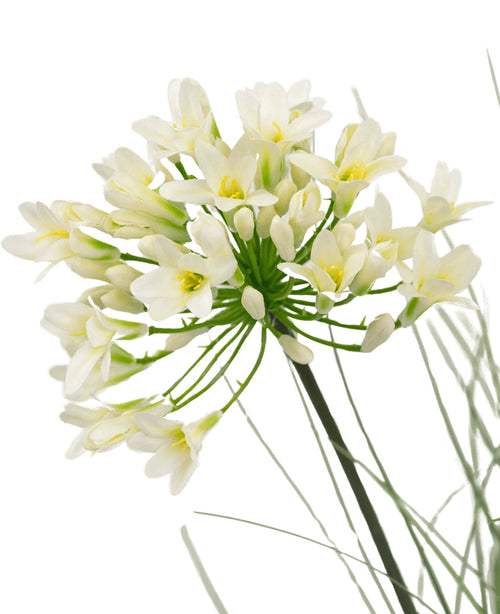 En närbild av konstgräs Vit Agapanthus lökgräskruka 90cm Brandskyddsmedlet visar känsliga vita blommor med en gul mitt på långa gröna stjälkar, omgivna av striga löv, mot en vanlig vit bakgrund.