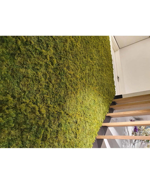 En lyxig inredning med en vertikal grön vägg av Kunsthaag Nordic Moss 50x50 cm UV, frodig bredvid en modern träfälla. Den vinklade bilden framhäver den rika texten av mossan och en del av en dörröppning ovanför.