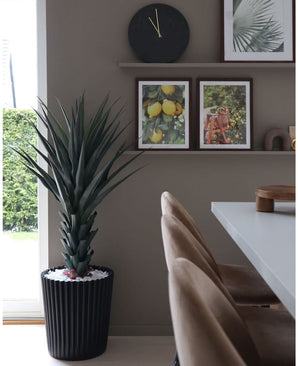 Een moderne eethoek met beige stoelen, een witte tafel, een wandklok en een plank met ingelijste foto's van citroen en bladeren. De grote Kunstplant Agave Pandora UV 120 cm voegt groen toe. Natuurlijk licht valt binnen vanaf de linkerkant.