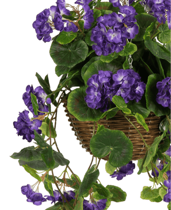 Artificiell Begonia Purple in Basket UV 70 cm har livfulla lila konstgjorda Begonia-blommor och frodiga gröna blad, som elegant faller från en brun vävd korg för en realistisk, iögonfallande visning.