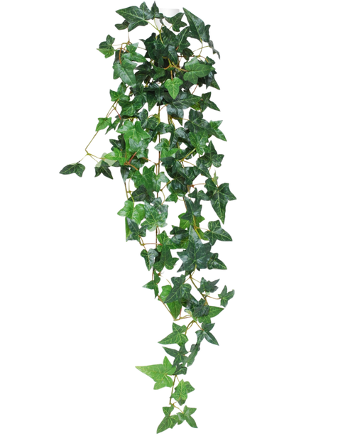 Den konstgjorda hängväxten Ivy Boston 100 cm grön har spetsiga gröna murgrönablad på tunna stjälkar, som faller ner mot en vit bakgrund.