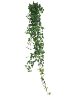Den konstgjorda hängväxten Ivy Boston 180 cm grön har långa, hängande hjärtformade blad i grönt som sticker ut vackert mot en vit bakgrund.