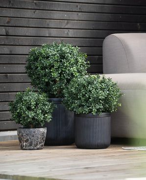 Drie Kunst Buxus op stam 40 cm ronde, bladgroene potplanten staan op een houten vlonder naast een lichtgrijze buitenbank, met een donkere houten muur op de achtergrond.