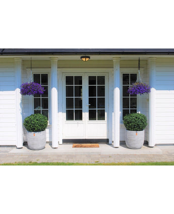 Witte dubbele deuren met glazen panelen sieren een wit huis met vier kolommen. Twee Kunst Buxus op stam UV d60 cm topiaries en twee hanging baskets met paarse bloemen sieren de ingang, met een deurmat voor de deuren.