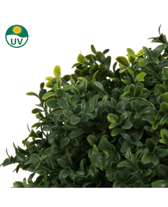 Close-up van Kunst Buxus op stam UV d60 cm bladeren met een UV-beschermingssymbool linksboven, om aan te geven dat deze kunstplant geschikt is voor buiten of in de zon.