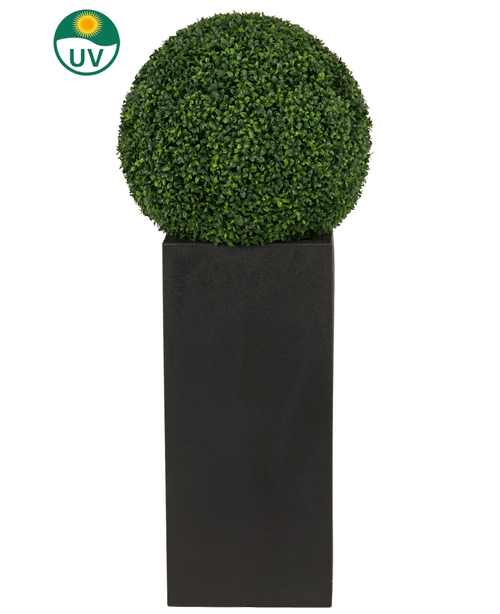 Den konstgjorda växten buxbom romersk stil UV D55cm, en rund konstform, står i en hög svart planter med en UV-skyddsikon i det övre vänstra hörnet av bilden.