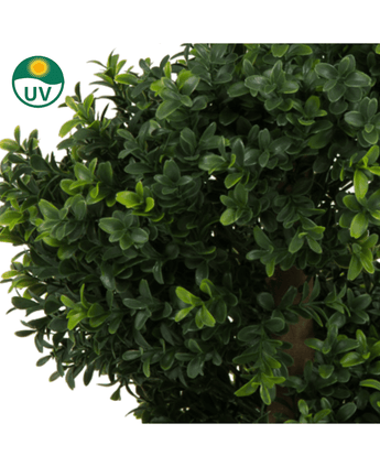 Närbild av täta, gröna blad av Artificiell Buxus Spiral romersk stil UV 90cm, med en liten grön UV-ikon i det övre vänstra hörnet med en sol och bokstäverna UV.