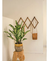 Een Kunstplant Dieffenbachia UV 75 cm in een stijlvolle pot staat op een rustiek houten krukje in een minimalistische kamer. Daarachter houdt een uitklapbare houten kapstok een bruine leren tas en een ketting aan de muur.