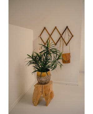 De Kunstplant Dracaena Reflexa in pot UV 63 cm siert een minimalistische kamer met witte muren, geplaatst op een naturel houten kruk. Een houten wandrek achter houdt een kleine bruine tas en crèmekleurige stoffen voor een tropisch interieur.