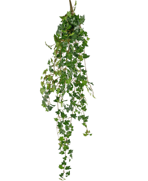 Den konstgjorda hängande växten Ivy deluxe 120 cm grön har gröna, spetsiga blad och släpande stjälkar, vilket gör att den liknar en hängande murgrönaväxt. Den konstgjorda murgrönan är isolerad på en vit bakgrund.