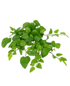 The Artificiell Hanging House Vine Green 70 cm har fräscha, livfulla gröna blad med tandade kanter och flera stjälkar, isolerade på en vit bakgrund.