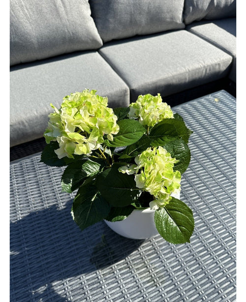 Artificiell Hortensia Grön UV 35 cm växt med ljusgröna blommor står på ett grått flätat utomhusbord, framför en grå soffa med kuddar. Solljus lyser upp den konstgjorda växten och kastar skuggor över bordet.