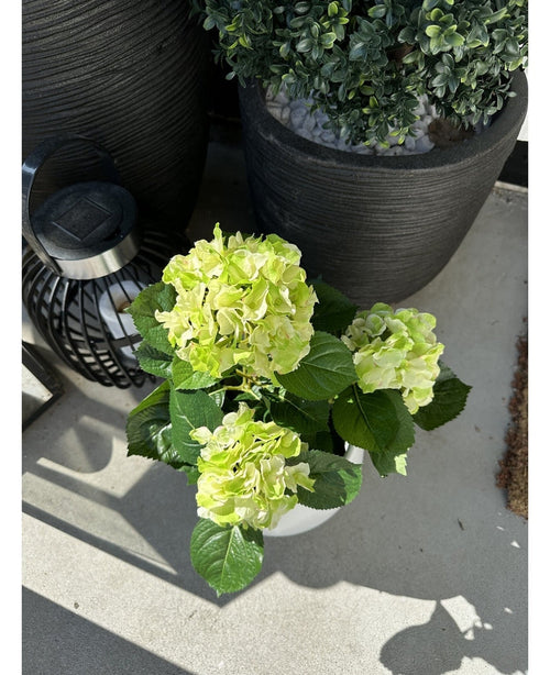 Den Artificiella Hortensia Grön UV 35 cm växt med ljusgröna blommor står på en solig uteplats bredvid en svart lykta och en stor kruka med färgglada löv, som kastar ljusa skuggor på betonggolvet.