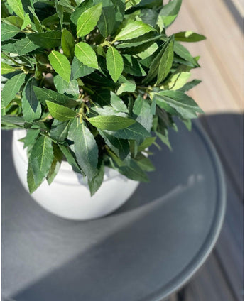 Den Artificiella Laurel UV d33 cm-växten, en lummig grön konstgjord växt i en vit kruka, står på ett runt mörkgrått bord, med naturligt ljus som skapar mjuka skuggor.