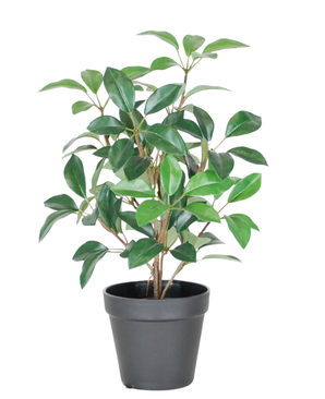 Den konstgjorda lagerurnen i kruka UV 43 cm är en liten, frodig grön krukväxt med flera stjälkar och ovala blad, presenterad i en enkel svart plastkruka mot en vit bakgrund.