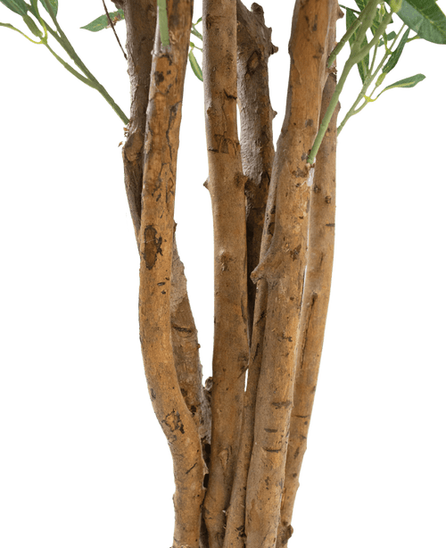 Närbild av ett antal bruna stammar med grov bark och några gröna blad mot en vanlig vit bakgrund, med det konstgjorda olivträdet UV 120 cm: en lättskött, UV-beständig konstgjord växt för varaktig skönhet inomhus eller utomhus.