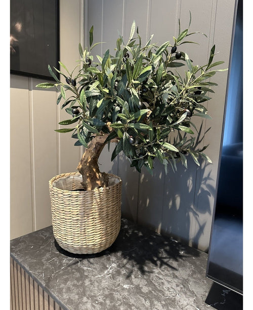 Artificiell Olive Mount UV 60cm, med gröna löv och svarta oliver, sitter i en vävd korg på en mörk marmoryta mot en ljus panelvägg - lätt att underhålla och UV-beständig för långvarig skönhet.