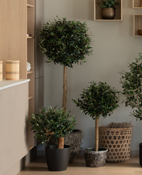 En artificiell olivmonterad UV 60 cm artificiell olivväxt med en rund, lummig topp ger underhållsfri grönska till ett modernt, minimalistiskt rum, placerat nära trähyllor och flätade korgar.