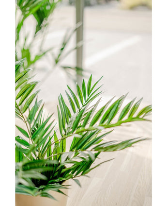 En närbild av livfulla gröna Artificiell Palm Parlor UV 60 cm löv i ett solbelyst inre utrymme med ett ljust trägolv och suddig bakgrund, vilket framhäver skönheten i denna realistiska konstgjorda växt.