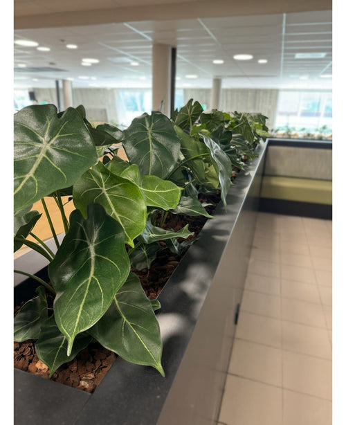 En rad med artificiell växt Syngonium UV 58 cm gränsar till en plantering på bänken, fyller detta ljusa, moderna utrymme med hjärtformad grönska och skapar en grön oas nära solbelysta fönster och snygga klinkergolv.