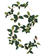 Bilden visar Art Tradescantia Garland Green 180 cm i form av ett S, med gröna blad och tunna, rödaktiga stjälkar mot en vit bakgrund.