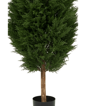 Den konstgjorda växten Barrträd UV 180cm är ett konstgjordt grönt träd i en kruka med täta mörkgröna blad och en brun stam, presenterad i en enkel svart kruka mot en vit bakgrund.