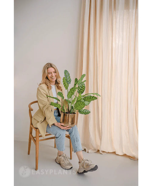 En leende kvinna sitter på en trästol med den konstgjorda växten Calathea Makoyana 60 cm i en designkruka. Hon är klädd i en beige kavaj, ljusa jeans och sneakers. Ljusgardiner i bakgrunden förstärker rummets minimala och lätta utseende.