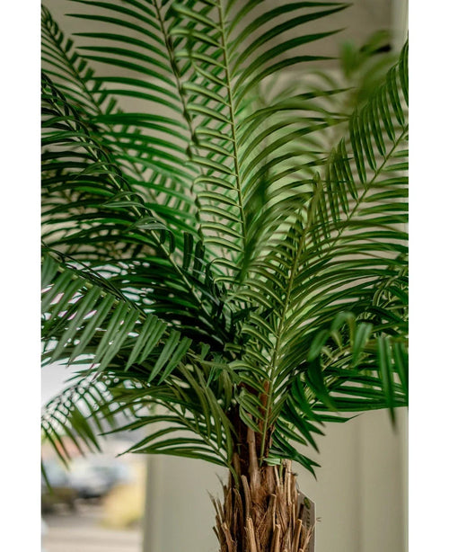Närbild av den konstgjorda palmen Phoenix De Luxe 210 cm, med långa, smala gröna blad och en brun stam med struktur, mot en mjukt suddig bakgrund.