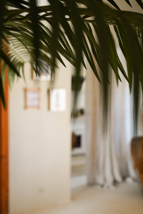 En närbild av Artificiell Palm Phoenix De Luxe 210 cm gröna löv skymmer delvis ett mjukt upplyst rum med krämfärgade väggar, inramade foton, vita gardiner och en suddig bakgrund.