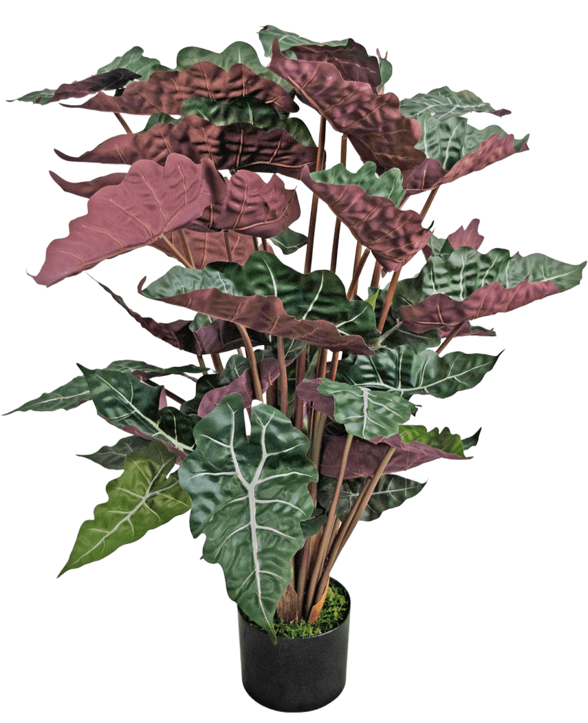 Den konstgjorda växten Alocasia 100 cm grön/röd har stora, mörkgröna blad med framträdande vita ådror och rödlila undersidor, presenterade i en svart kruka.