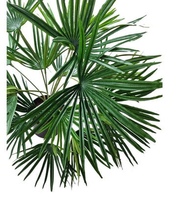 Artificiell växt Baby Palm Fan i kruka UV 50 cm har stora solfjäderformade gröna blad med långa spetsiga segment - perfekt för att ge en frodig tropisk touch till interiörer med dekorativa krukor.