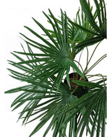 Ovanifrån av den konstgjorda växten Baby Palm Fan i kruka UV 50 cm, med frodigt gröna solfjäderformade blad som strålar ut från snygga dekorativa krukor mot en vit bakgrund.