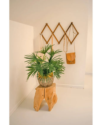 Artificiell växt Baby Palm Fläkt i kruka UV 50 cm sitter på en träpall i ett minimalistiskt rum. Bakom den står ett brunt väggställ i dragspelsstil som visar bruna och solbrända läderväskor mot en skarp vit vägg.