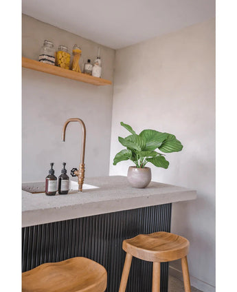 Een moderne keuken met een betonnen aanrechtblad, gouden kraan, Kunstplant Calathea 46 cm, zeepdispensers, twee houten krukjes en een plank met potten met voedsel en ingrediënten tegen een lichtgekleurde muur.