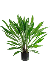 Kunstplant Calathea 85 cm - een weelderige groene kamerplant in pot met lange, slanke rechtopstaande bladeren in een zwarte pot, geïsoleerd op wit.